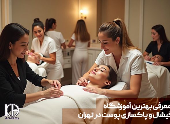 Introducing the best facial and skin cleansing school in Tehran