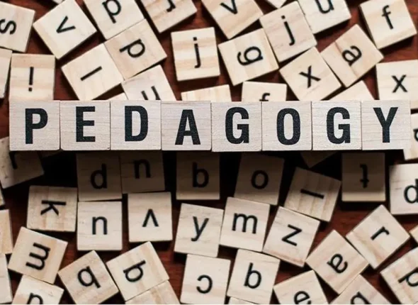 Pedagogy