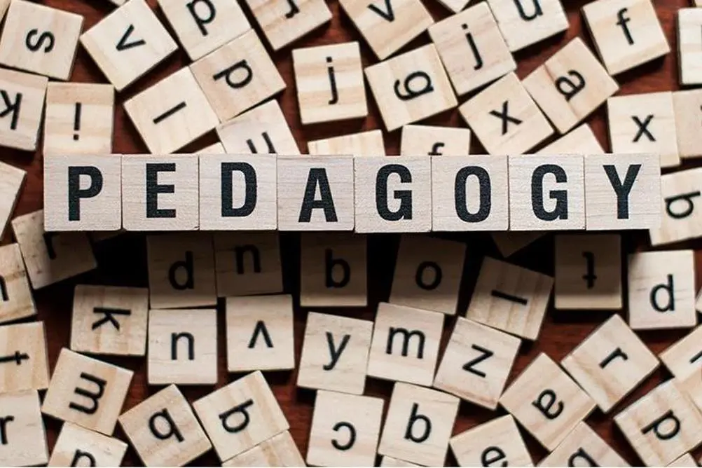 Pedagogy