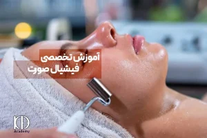 آموزش تخصصی فیشیال صورت