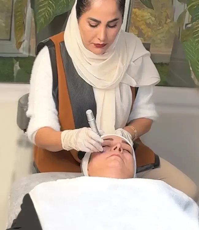 میکرونیدلینگ